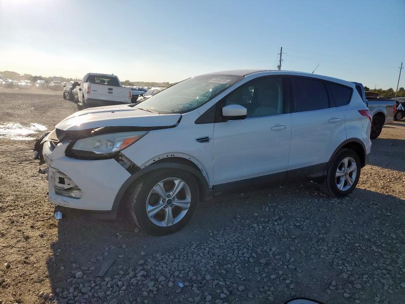 Global Auto Auctions: 2013 FORD ESCAPE SE