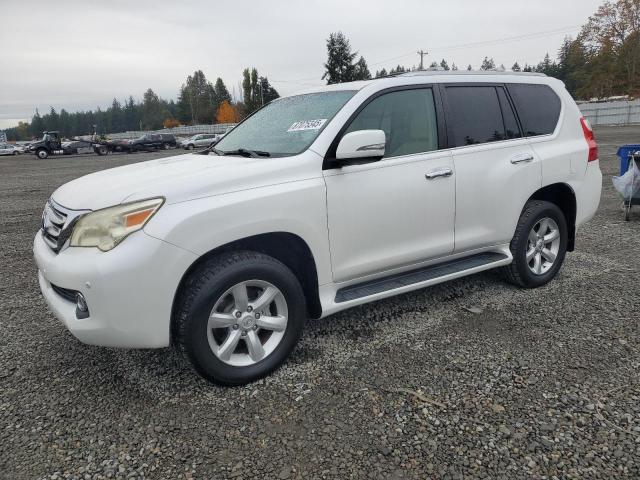 LEXUS GX 460
