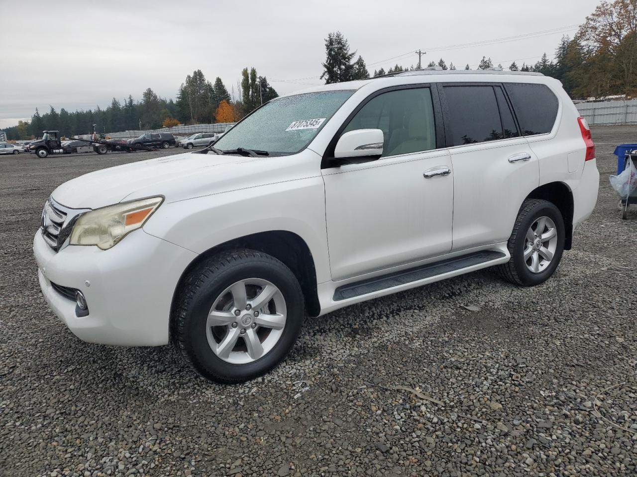 Lot #3276397807 2011 LEXUS GX 460