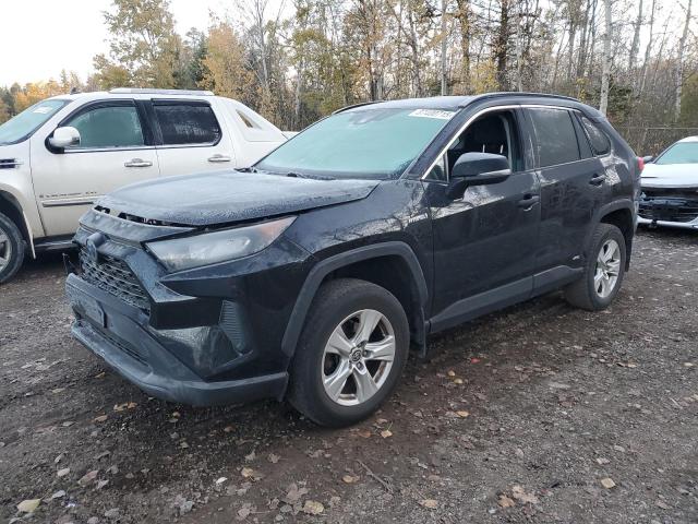 2021 TOYOTA RAV4 LE - 2T3BWRFV8MW120032