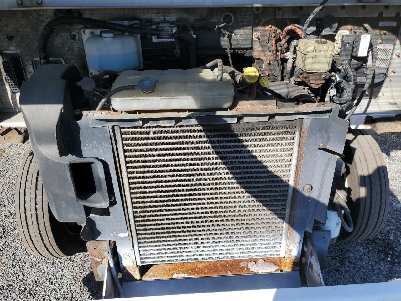 Lot #3264523546 2010 FREIGHTLINER CHASSIS M