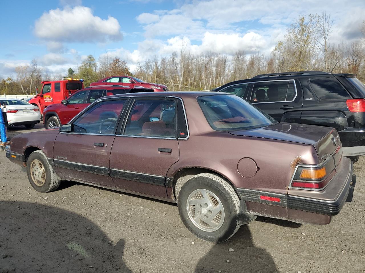 Lot #3296897838 1989 PONTIAC 6000 LE