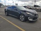 Lot #3304556471 2013 KIA OPTIMA HYB