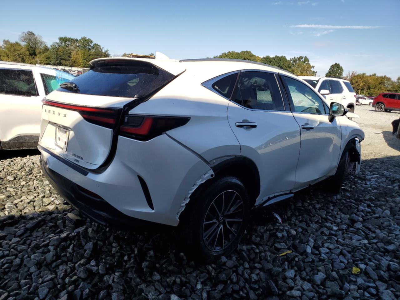 LEXUS NX 350H BASE