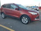Lot #3294451490 2014 FORD ESCAPE SE