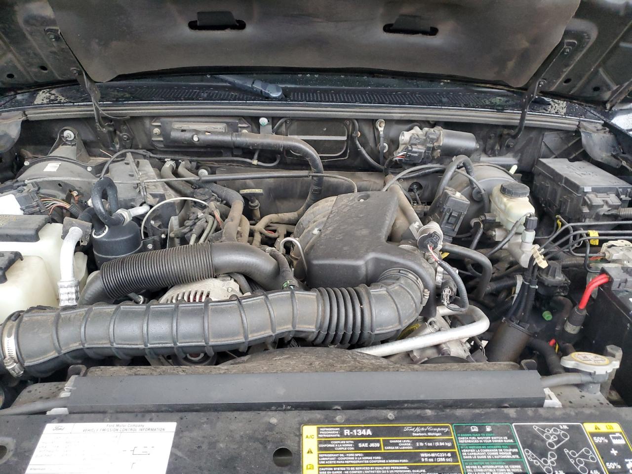 Lot #3290061280 2005 FORD RANGER SUP