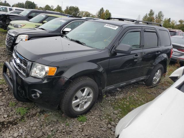 FORD ESCAPE XLT