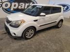 Lot #3304548442 2013 KIA SOUL +