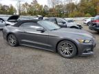Lot #3294254877 2017 FORD MUSTANG