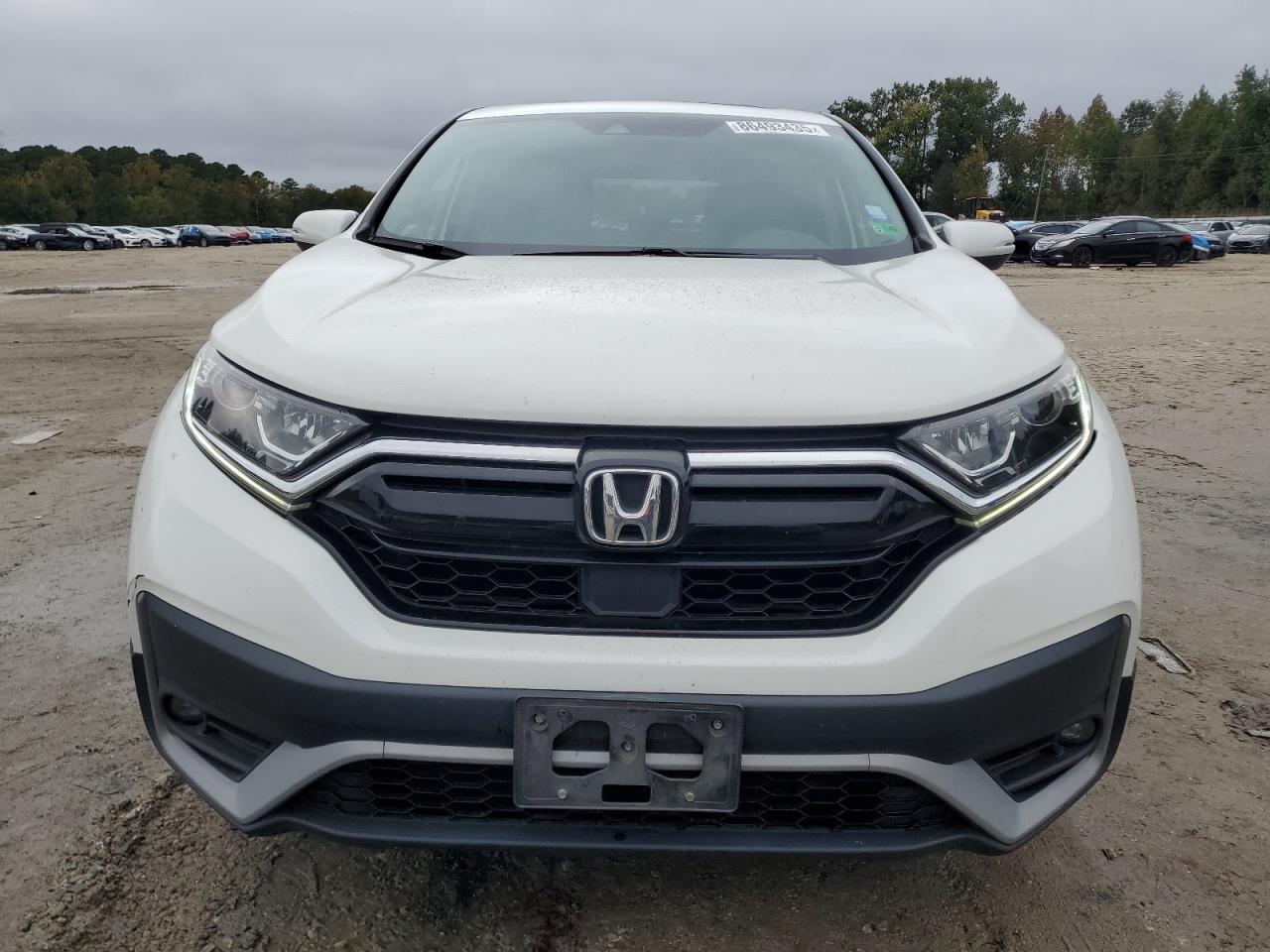 HONDA CR-V EX