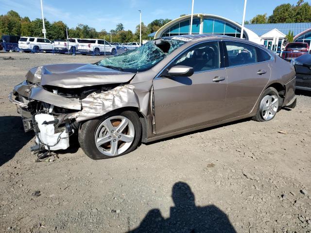 CHEVROLET MALIBU LT 2023 gold  gas 1G1ZD5ST2PF240215 photo #1