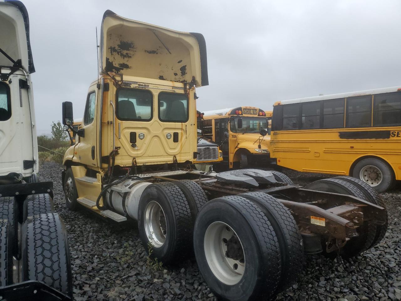 Lot #3266693371 2016 FREIGHTLINER CASCADIA 1