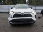 Lot #3302963641 2023 TOYOTA RAV4 LE