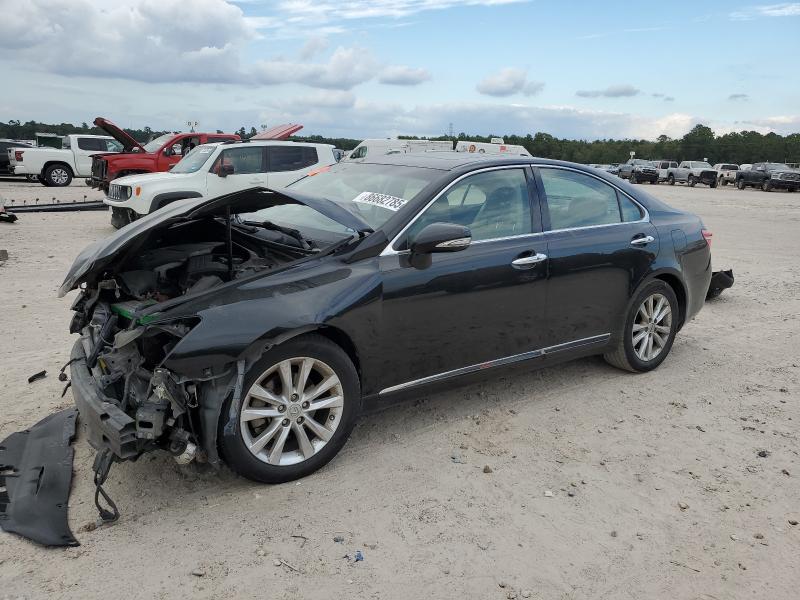 2010 LEXUS ES 350 #3301879429
