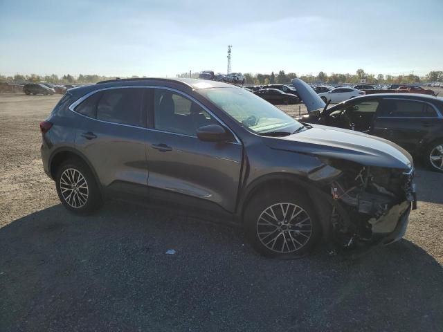 2025 FORD ESCAPE - 1FMCU0E13SUA12184