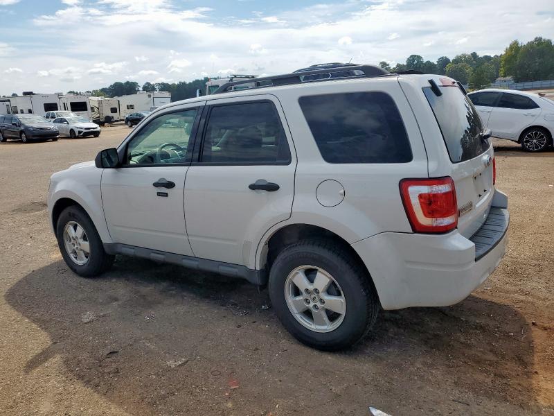 2011 FORD ESCAPE XLT - 1FMCU0DG4BKA55546
