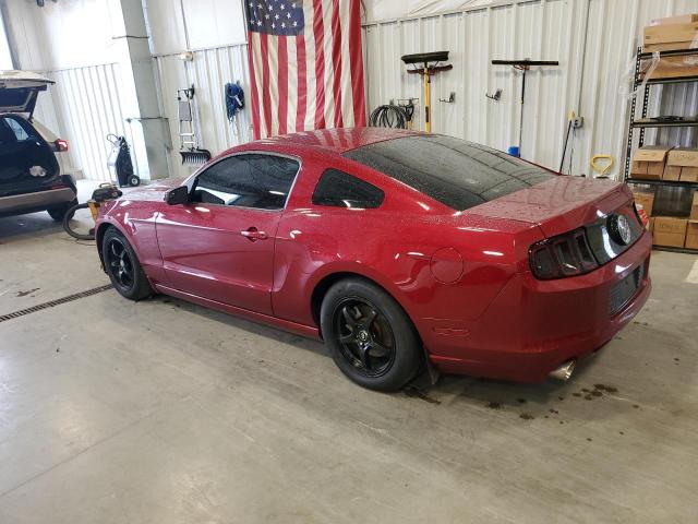 2014 FORD MUSTANG - 1ZVBP8AM9E5315567