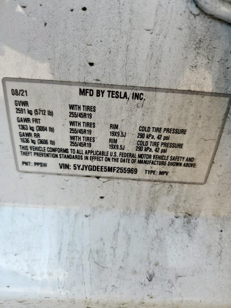 2021 TESLA MODEL Y - 5YJYGDEE5MF255969