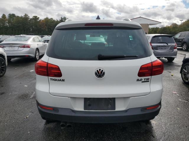 2015 VOLKSWAGEN TIGUAN S WVGBV7AX4FW593359