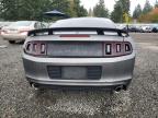 Lot #3308408355 2013 FORD MUSTANG GT