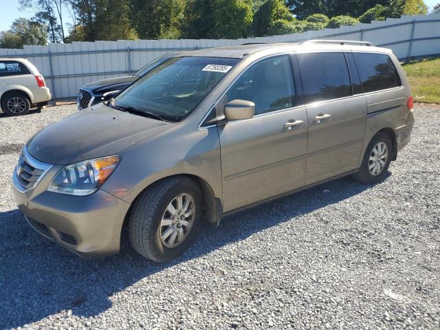 HONDA ODYSSEY EX