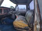 Lot #3293468417 1979 FORD F-150