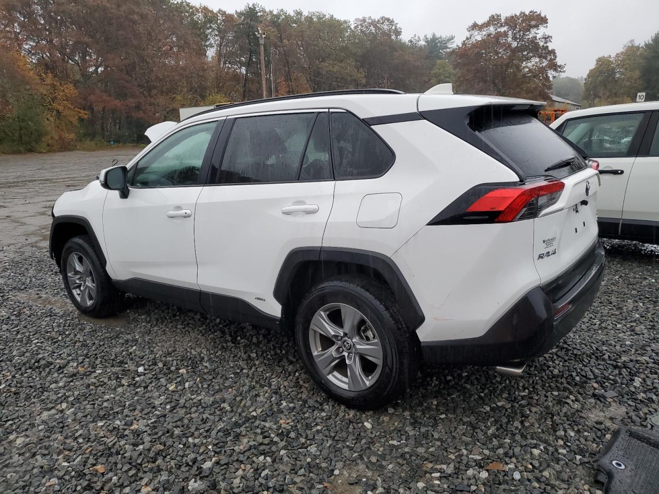 TOYOTA RAV4 XLE