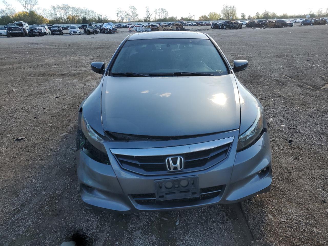 HONDA ACCORD EXL