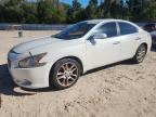 Top Destinations for Shipping Cars from the USA