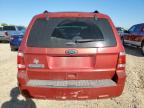 Lot #3296442637 2012 FORD ESCAPE XLT