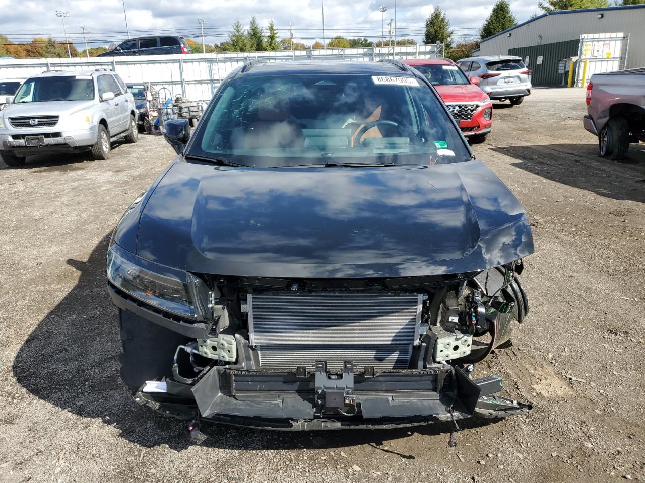 HONDA PROLOGUE ELITE