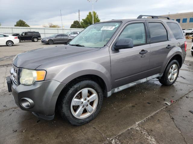 Global Auto Auctions: 2010 FORD ESCAPE XLT