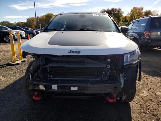 2019 JEEP COMPASS TR 3C4NJDDB1KT775984