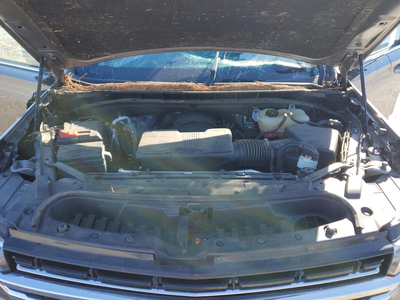 Lot #3309585582 2022 CHEVROLET TAHOE C150