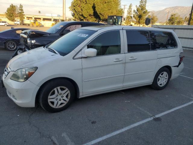 HONDA ODYSSEY TO