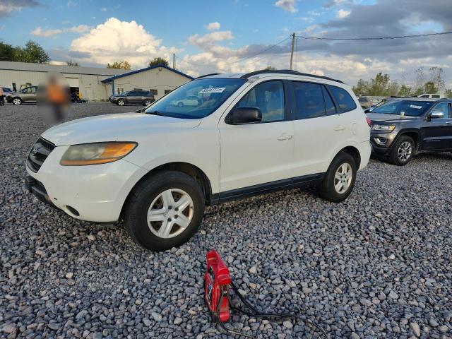 Global Auto Auctions: 2009 HYUNDAI SANTA FE G