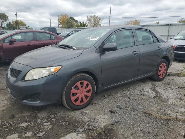 Global Auto Auctions: 2010 TOYOTA COROLLA BA