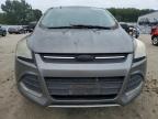 Lot #3312362778 2014 FORD ESCAPE SE
