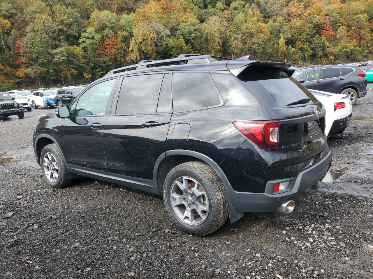 HONDA PASSPORT TRAIL SPORT