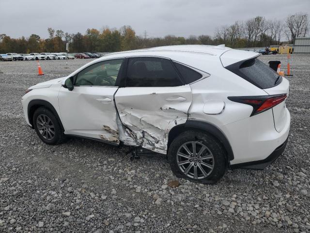 2019 LEXUS NX 300 BAS - JTJBARBZ4K2215620