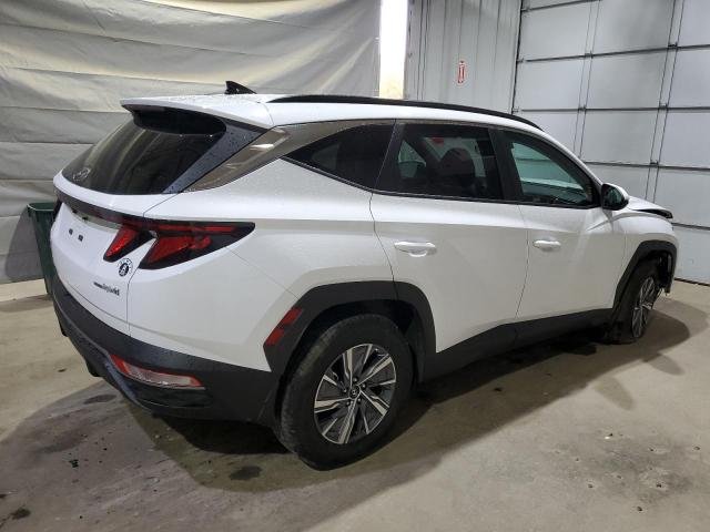 2024 HYUNDAI TUCSON BLU #3291422134