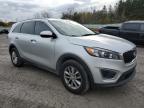 Lot #3301609655 2016 KIA SORENTO LX