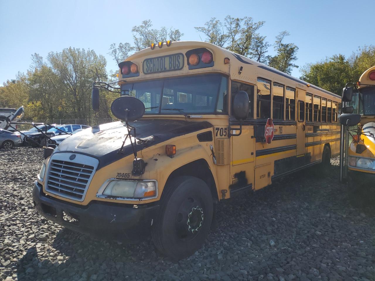 Lot #3269765718 2009 BLUE BIRD SCHOOL BUS