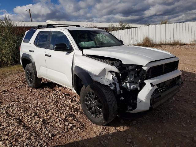 2025 TOYOTA 4RUNNER SR - JTEVA5BR9S5022950