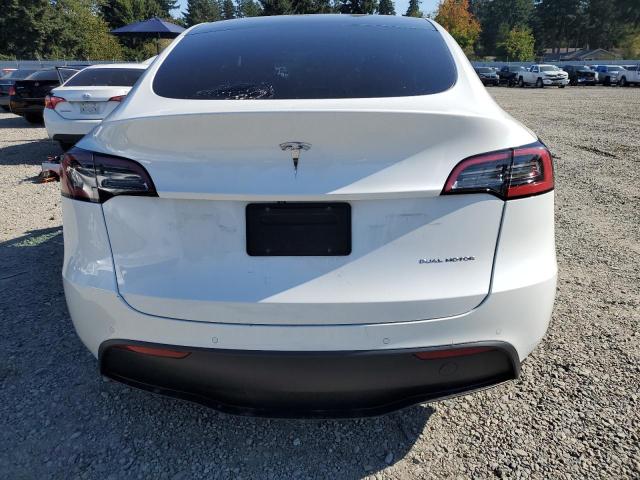 2021 TESLA MODEL Y #3291201990