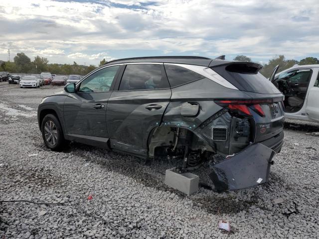 2024 HYUNDAI TUCSON BLU KM8JBCD16RU234759