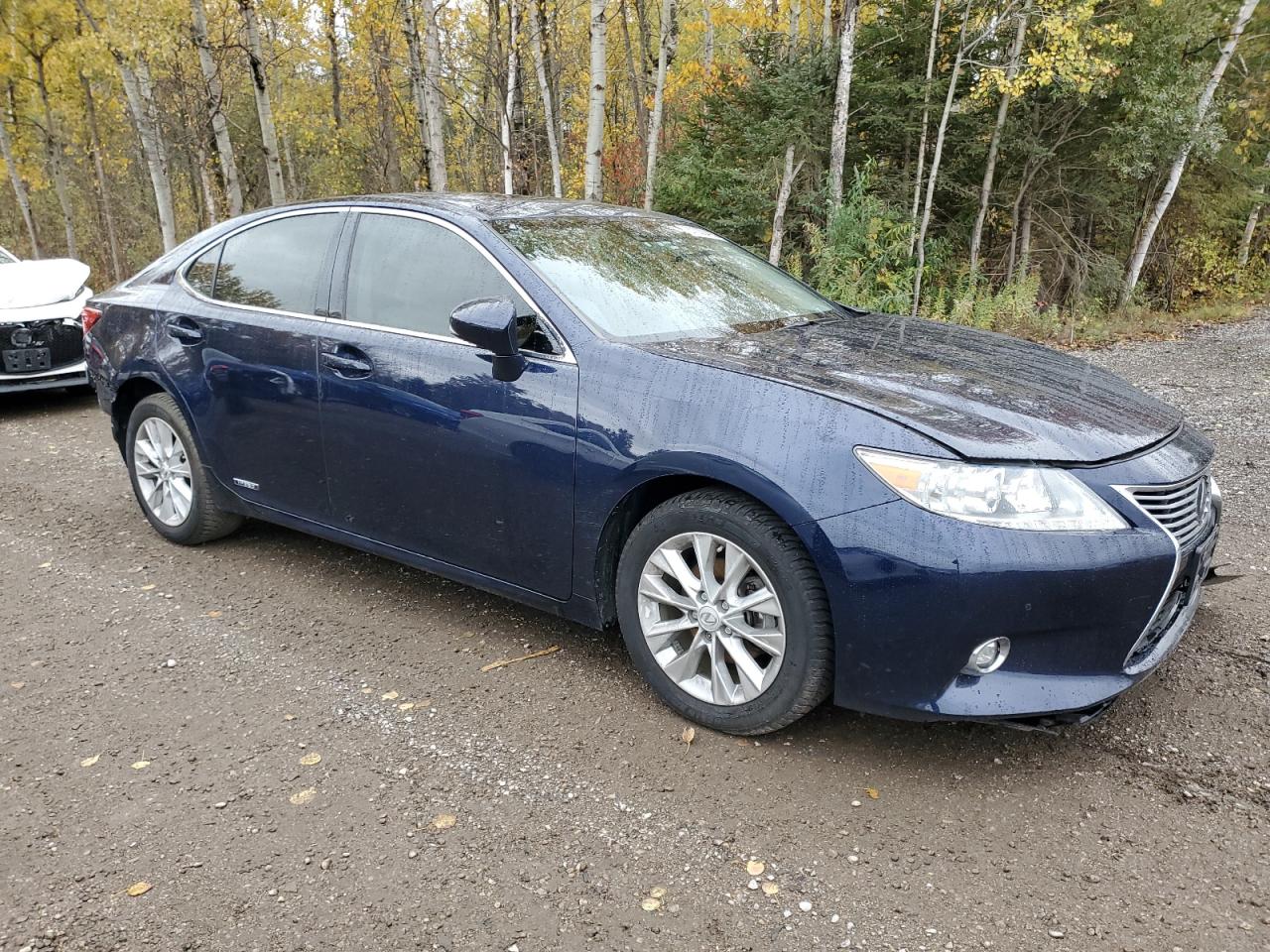 LEXUS ES 300H