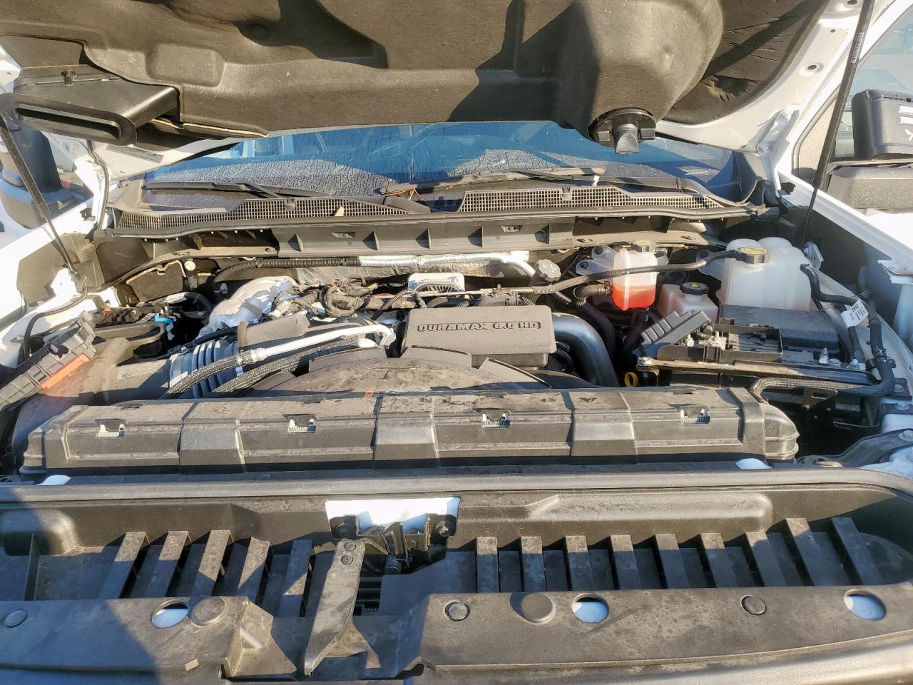 Lot #3311747722 2024 CHEVROLET SILVERADO