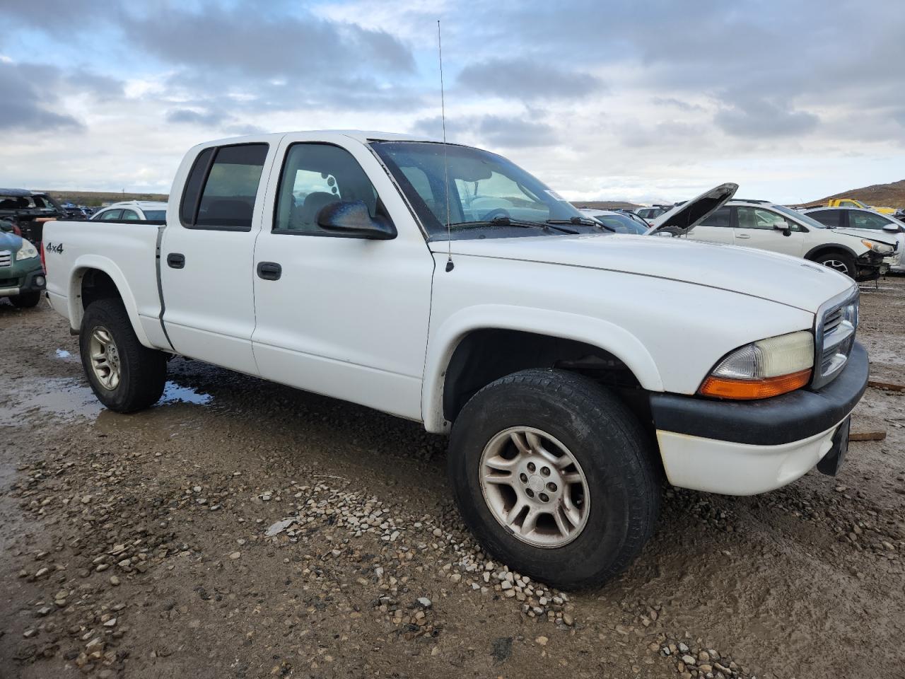 Lot #3291611254 2004 DODGE DAKOTA QUA