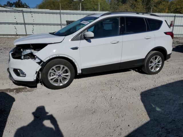 Global Auto Auctions: 2019 FORD ESCAPE SEL